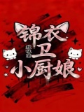 锦衣卫小厨娘百度百科